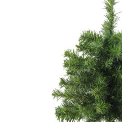 Northlight 18" Medium Canadian Pine Artificial Christmas Tree - Unlit -Chic Christmas Decoration 1dgizfmmwt8nkfrnll4q00mjuqkbwkfq 20469.1588356260