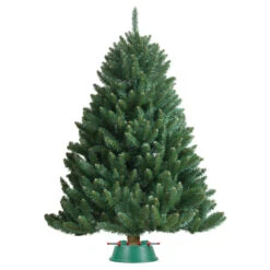 Northlight 21" Wide Mouth Green And Red Watering Christmas Tree Stand - Trees Up To 8ft 7 Northlight 21" Wide Mouth Green And Red Watering Christmas Tree Stand - Trees Up To 8ft -Chic Christmas Decoration 217002 in use5b15d 80427.1588396555