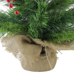 Northlight 24" Mixed Cashmere Berry Pine Medium Artificial Christmas Tree - Unlit -Chic Christmas Decoration 4fszc7qvvh13bkrz4obzvfcqiilqrfuf 15414.1665580316