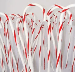 Northlight Club Pack Of 24 Red And White Striped Candy Cane Christmas Decorations 32" - 32915514 -Chic Christmas Decoration bi8nmyd69mfaduwcjemkryaopyr6uu8t 73349.1587644290