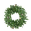 Northlight Frosted Mixed Pine And Pine Cone Artificial Christmas Wreath - 24-Inch, Unlit