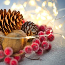 Northlight 100 Warm White LED Micro Fairy Lights - 16.25 Ft Copper Wire -Chic Christmas Decoration clearfairy2updated 95705.1665519661