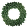 Northlight Colorado Spruce Artificial Christmas Wreath - 60-Inch, Unlit