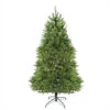 Northlight 6.5' Pre-Lit Green Medium Northern Pine Artificial Christmas Tree - Warm Clear LED Lights