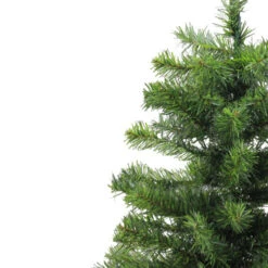 Northlight 2' Medium Canadian Pine Artificial Christmas Tree - Unlit -Chic Christmas Decoration j4dqfq8mnros6hr5k49xrbsc8kh2a3yo 75038.1665433001