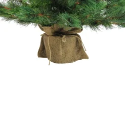 Northlight 3' Potted New Carolina Spruce Medium Artificial Christmas Tree - Unlit -Chic Christmas Decoration jgpo41pjmuyq7fyavzmwkjboouyif6kn 56164.1665610423