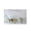 Northlight Small Fiber Optic Lighted Winter Woods With Deer Canvas Wall Art 12" X 11.75"