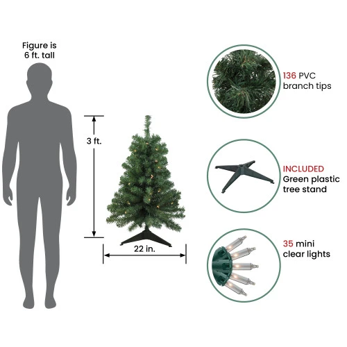 Northlight 3' Pre-Lit Green Medium Blackwater Fir Artificial Christmas Tree - Clear Lights 2 Northlight 3' Pre-Lit Green Medium Blackwater Fir Artificial Christmas Tree - Clear Lights - Image 2