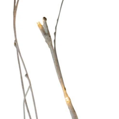 Northlight 4' LED Lighted White Twig Tree Cluster Outdoor Christmas Yard Art Decoration - 15-11350E-4 -Chic Christmas Decoration northlight20d2015 11350e 4 5 34843.1588362339