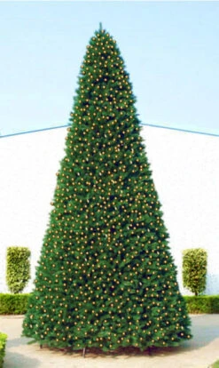 Northlight 12' Pre-Lit Green Slim Pine Artificial Christmas Tree - Clear Lights