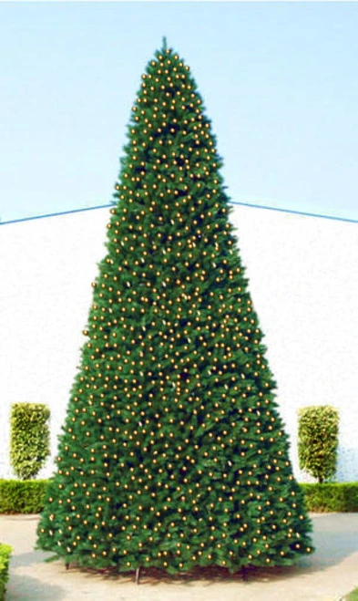 Northlight 12' Pre-Lit Green Slim Pine Artificial Christmas Tree - Clear Lights 1 Northlight 12' Pre-Lit Green Slim Pine Artificial Christmas Tree - Clear Lights