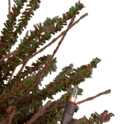 Northlight 2' Pre-Lit Medium Potted Warsaw Twig Artificial Christmas Tree - Clear Lights 11 Northlight 2' Pre-Lit Medium Potted Warsaw Twig Artificial Christmas Tree - Clear Lights -Chic Christmas Decoration northlight b03907 4 16085.1608088099