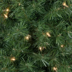 Northlight 6' X 20" Pre-Lit Traditional Green Pine Pencil Artificial Christmas Tree - Clear Lights -Chic Christmas Decoration northlight b83517 2 63954.1674034541