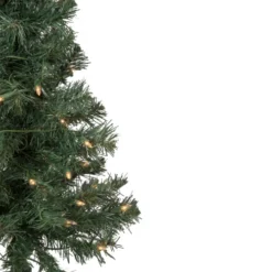 Northlight 3' Pre-Lit Green Medium Blackwater Fir Artificial Christmas Tree - Clear Lights 7 Northlight 3' Pre-Lit Green Medium Blackwater Fir Artificial Christmas Tree - Clear Lights -Chic Christmas Decoration northlight b83526 2 06989.1666129159