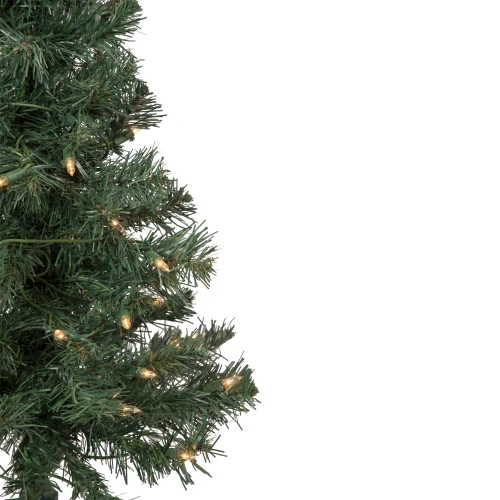 Northlight 3' Pre-Lit Green Medium Blackwater Fir Artificial Christmas Tree - Clear Lights 3 Northlight 3' Pre-Lit Green Medium Blackwater Fir Artificial Christmas Tree - Clear Lights - Image 3