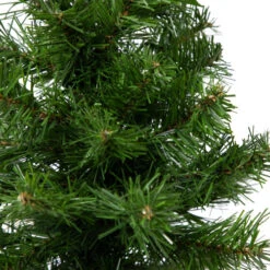 Northlight 18" Medium Blackwater Fir Artificial Christmas Tree - Unlit 9 Northlight 18" Medium Blackwater Fir Artificial Christmas Tree - Unlit -Chic Christmas Decoration northlight b83529 03 13646.1692890720