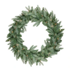 Northlight Pre-Lit Washington Frasier Fir Artificial Christmas Wreath - 24-Inch, Clear Lights