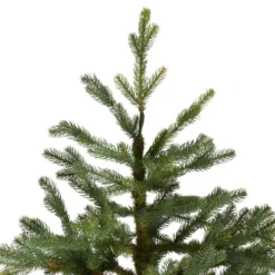 Northlight 6.5' North Pine Artificial Christmas Tree, Unlit -Chic Christmas Decoration northlight c584780 3 22342.1588371225