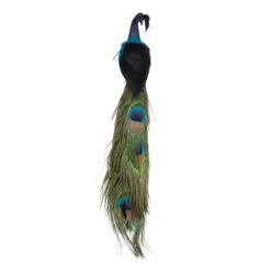 Northlight 13" Green And Dark Blue Peacock Clip-On Christmas Ornament