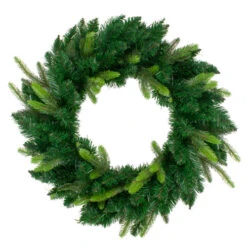 Northlight Gunnison Pine Artificial Christmas Wreath - 24-Inch, Unlit