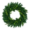 Northlight Pre-Lit Gunnison Pine Artificial Christmas Wreath - 48-Inch, Clear Lights