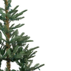 Northlight 9' Pre-Lit Nordmann Fir Artificial Christmas Tree - Warm Clear LED Lights -Chic Christmas Decoration northlight j00085 3 80272.1636546337