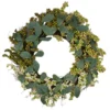 Northlight Berries And Leaves Twig Artificial Wreath, Green 24-Inch