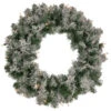 Northlight Pre-Lit Flocked Victoria Pine Artificial Christmas Wreath - 24-Inch, Clear Lights