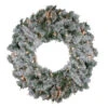 Northlight Pre-Lit Flocked Victoria Pine Artificial Christmas Wreath - 30-Inch, Clear Lights