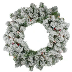 Northlight Pre-Lit Heavily Flocked Pine Artificial Christmas Wreath - 24-Inch, Multi-Color Lights