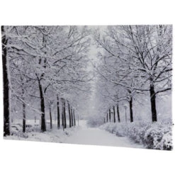 Northlight Fiber Optic Lighted Winter Lane Snowfall Christmas Canvas Wall Art 23.5" X 15.75"