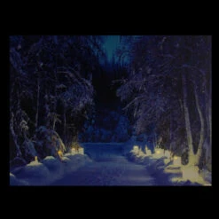 Northlight LED Lighted Nighttime In The Woods Winter Scene Canvas Wall Art 15.75" -Chic Christmas Decoration northlight nj82847 2 updated 25213.1665611029