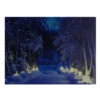 Northlight LED Lighted Nighttime In The Woods Winter Scene Canvas Wall Art 15.75"
