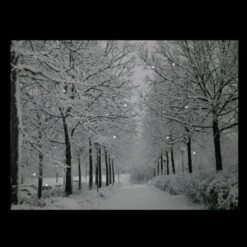 Northlight LED Lighted Fiber Optic Twinkling Snow Covered Tree Scene Canvas Wall Art 15.75" X 11.75" -Chic Christmas Decoration northlight nj83099 onblack 21950.1664901054