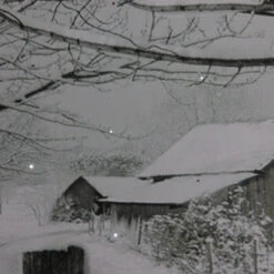 Northlight Fiber Optic Lighted Snowfall Country Rustic Farmhouse Christmas Canvas Wall Art 11.75" X 15.75" 5 Northlight Fiber Optic Lighted Snowfall Country Rustic Farmhouse Christmas Canvas Wall Art 11.75" X 15.75" -Chic Christmas Decoration northlight nj85686 3 28533.1588350646