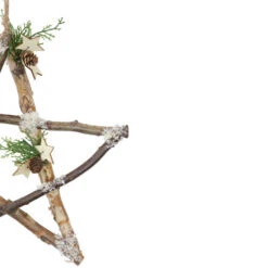 Northlight 13.75" Snowy Pinecone Branch Christmas Star Wall Decor -Chic Christmas Decoration northlight nl00540 star 2 updated2022 17243.1669884305