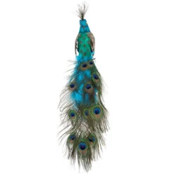 Northlight 23.5" Regal Peacock With Closed Tail Feathers Christmas Decoration -Chic Christmas Decoration northlight sh38672 2 42830.1588362579