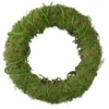Northlight Moss And Vine Artificial Spring Twig Wreath, 15-Inch, Unlit