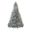 Northlight 9' Pre-Lit Flocked Winema Pine Artificial Christmas Tree - Clear Lights