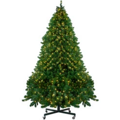 Northlight 12' Pre-Lit Full Olympia Pine Artificial Christmas Tree - Warm White Lights