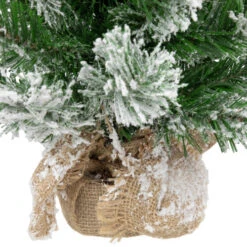 Northlight 22" Flocked Pine Full Artificial Christmas Tree In Burlap Base - Unlit -Chic Christmas Decoration northlight v03955 4new 89745.1670057375