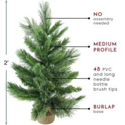 Northlight 2' Potted Mixed Cashmere Pine Medium Artificial Christmas Tree, Unlit -Chic Christmas Decoration northlight v03956 thumbnail 77437.1665433297