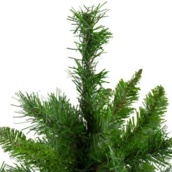 Northlight 24" Mixed Kateson Fir Medium Artificial Christmas Tree - Unlit 7 Northlight 24" Mixed Kateson Fir Medium Artificial Christmas Tree - Unlit -Chic Christmas Decoration northlight v03996 2 updated 42129.1628608992