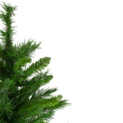 Northlight 24" Mixed Kateson Fir Medium Artificial Christmas Tree - Unlit 8 Northlight 24" Mixed Kateson Fir Medium Artificial Christmas Tree - Unlit -Chic Christmas Decoration northlight v03996 3 updated 04868.1628608992