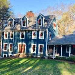 Northlight Canadian Pine Artificial Christmas Wreath, 24-Inch, Unlit -Chic Christmas Decoration northlight v04268 cxpic 07513.1677579786