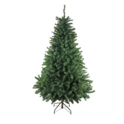 Northlight 7' Canadian Pine Artificial Christmas Tree, Unlit