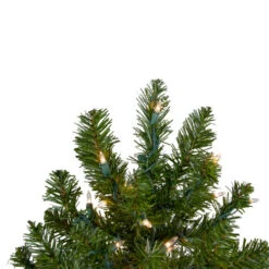 Northlight 2' Pre-Lit Medium Canadian Pine Artificial Christmas Tree - Clear Lights -Chic Christmas Decoration northlight v15846 2updated 18645.1670143684