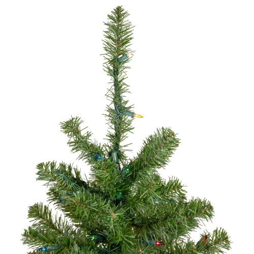 Northlight 18" Pre-Lit Medium Canadian Pine Artificial Christmas Tree - Multicolor Lights 3 Northlight 18" Pre-Lit Medium Canadian Pine Artificial Christmas Tree - Multicolor Lights - Image 3