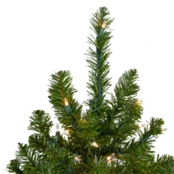 Northlight 6' Pre-Lit Medium Canadian Pine Artificial Christmas Tree, Clear Lights 8 Northlight 6' Pre-Lit Medium Canadian Pine Artificial Christmas Tree, Clear Lights -Chic Christmas Decoration northlight v15883 2updated 70855.1665696782