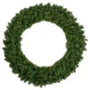 Northlight Pre-Lit Canadian Pine Artificial Christmas Wreath - 48-Inch, Clear Lights